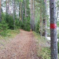 Parkinmäen Naturpfad