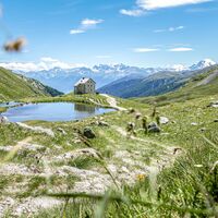 Sesvennahütte