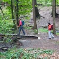 Das Zwickenbachtal