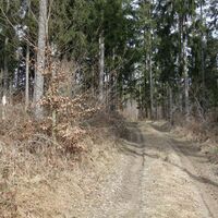 am Weg zum Friedrichsfelsen