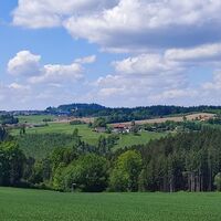 Blick nach Schardenberg