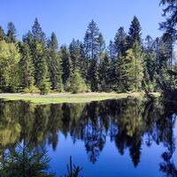 Grimmeisenweiher