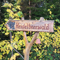 Auf geht's zum Heidelbeerwald