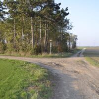 Rechts beim Wald vorbei