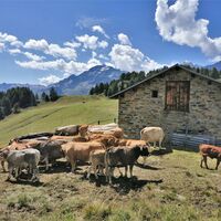 Wanderung Lagh dal Teo