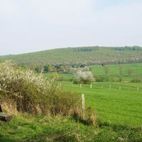 Blick ins Reitlingstal
