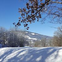 Winterlandschaft