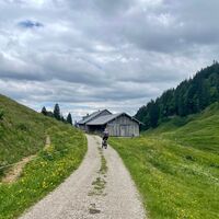 Kurz vor der Alpe Scheidwang