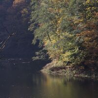 Witznau StauseeIMG_5195