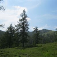 Göriacher Alm und Hochanger
