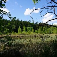 Naturkino-Schauplatz Simmelried
