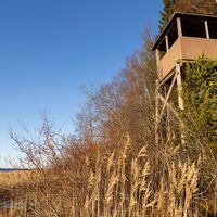 Der mexikanische Vogelturm