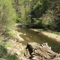 Kleine Raabklamm, Oststeiermark
