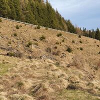 7.2 km Karrenweg verjüngt sich zu einem Pfad