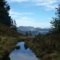 Berge und ihr Spiegelbild