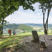 Blick vom Entenberg