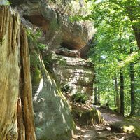 Saufelsen am Rodalber Felsenwanderweg