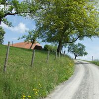 Weg nach Niedermuhlern - Herzroute