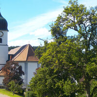 Pfarrkirche Maria Himmelfahrt in Waldkirch