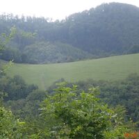 Mitterrieglsteig