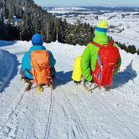 Rodelspaß am Edelsberg