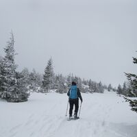Auf dem Raxplateau