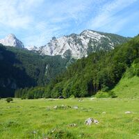 Die längere Variante führt an der Schönalm vorbei nach Oberscheffau. Links im Hintergrund der Knallstein (2230 m).