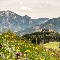 Frauenberg und Gesäuse