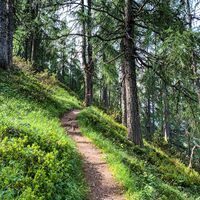 Wanderweg Lackenkogel