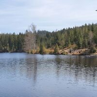 11.2 km Schlesingerteich