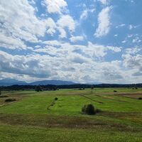 Haarmoos, Aussicht auf Teisenberg