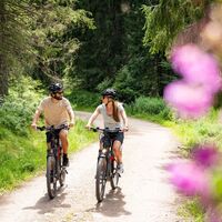 Radfahren am Schluchsee