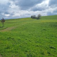 Löffelkrautweg Ollarzried