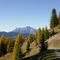 das massive Birnhorn im Hintegrund
