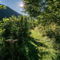 Wanderweg Gföllweg im Untertal