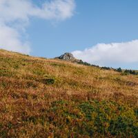 Saualpe