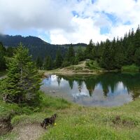 Das Sass-Seelein befindet sich an der höchsten Stelle des Forscherwegs