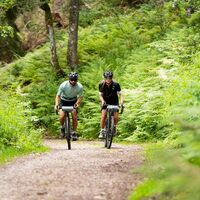 Gravelbikes auf Radtour im Hochschwarzwald