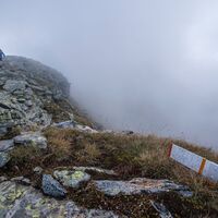 Hochwildstelle