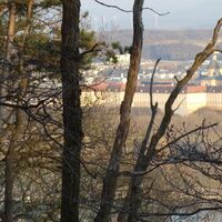 verwachsener Blick zum Stift Melk