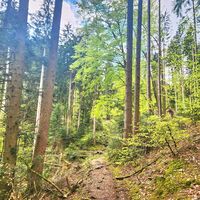 Wanderung Oberwarngau Taubenberg