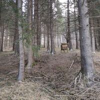 Rinnende Mauer Trail - Molln (lang)