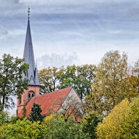 Die St.-Viti-Kirche Heeslingen zwischen Bäumen