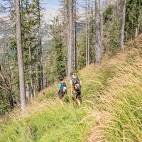 Scheffau_Abstieg Tuxeck_Wilder Kaiser