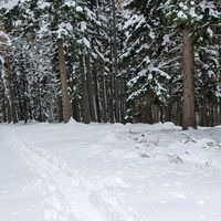 6.2 km Abstieg zur Hütte