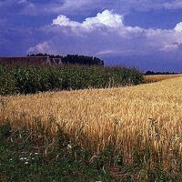 Weite Horizonte in Wagerbergberg