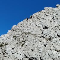 Rückblick in den gut markierten Steig