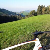 Kurz vor Konradsheim, Blick Richtung Sonntagberg
