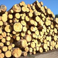 Sägewerk Neuschmied