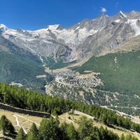 Furwald Singletrail